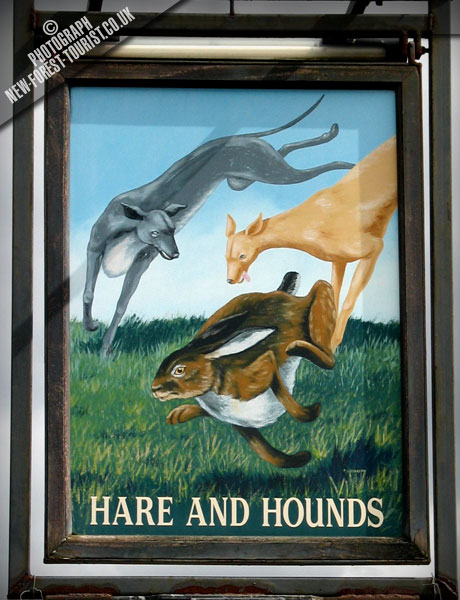 The New Forest pub: Hare & Hounds