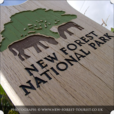 New Forest National Park Douglas Fir Marker