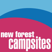 New Forest Campsites