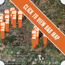 New Forest Bed and Breakfast