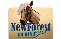 New Forest Tourist