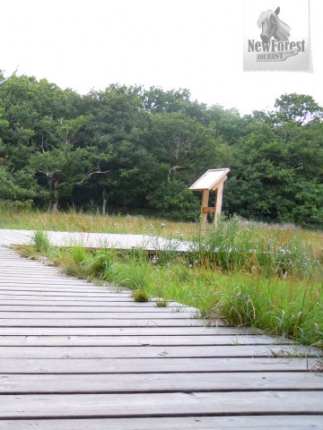 Beaulieu River Boardwalk and Information Panel