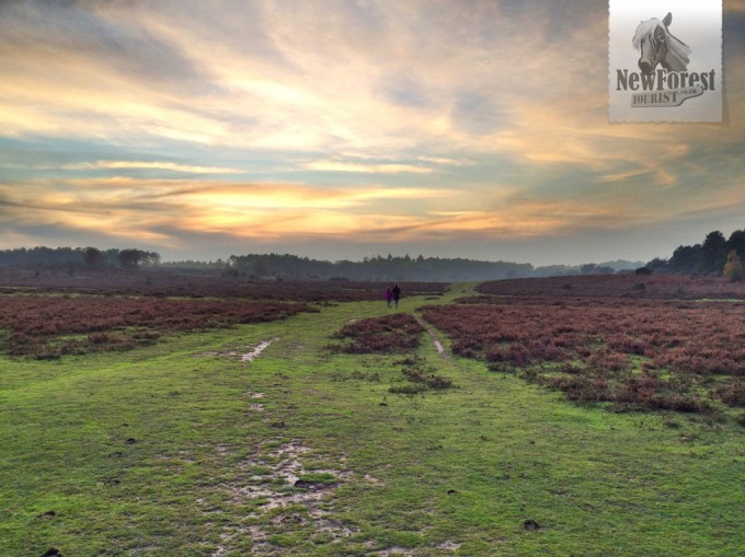 Walking west through Longslade Bottom