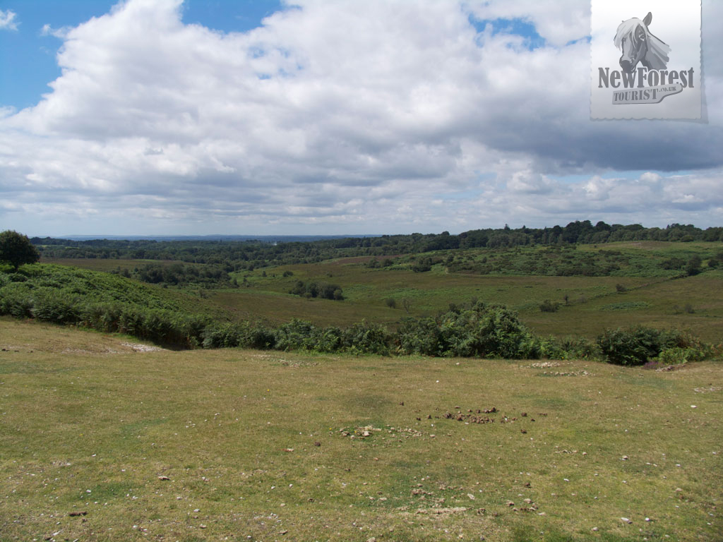Picket Post, Ringwood New Forest Walks