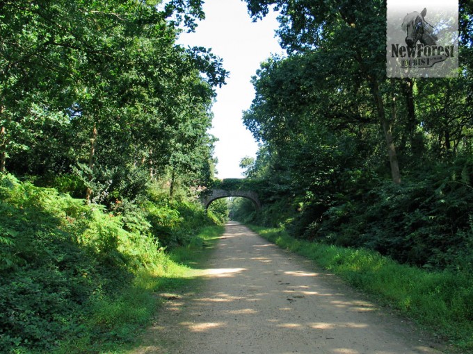 The railway bridge past Longslade Bottom