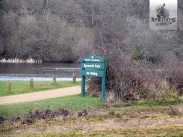 Eyeworth Pond Car Park