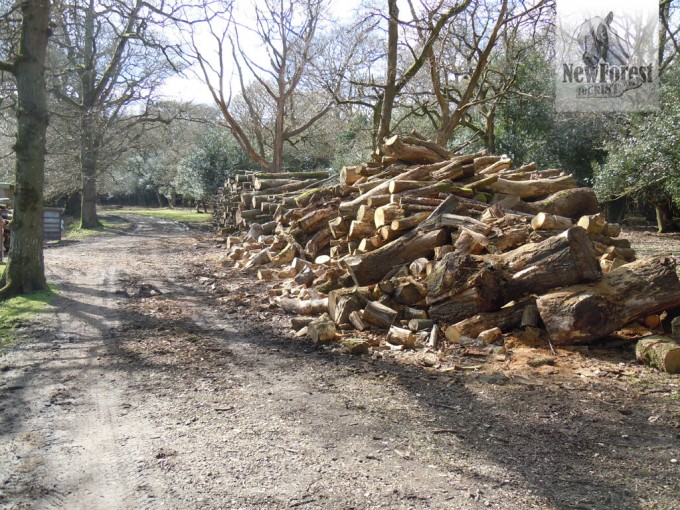 Farm track past a woodpile