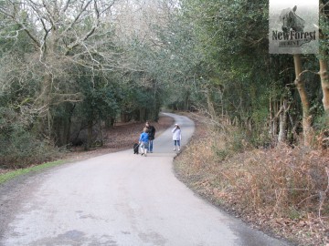 Road down to Eyeworth Pond