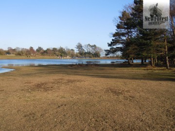 Hatchet Pond car park in the distance