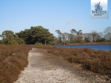 The path alongside Hatchet Pond