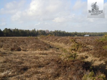 Ancient linear earthworks: Cerdic’s Bridgehead