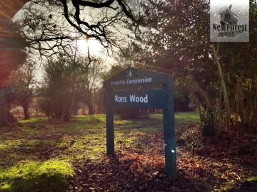 hatchet-pond-walk-rans-wood Rans Wood car park