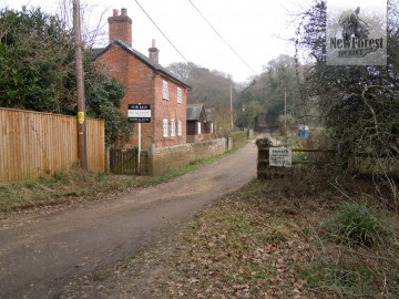 looking-back-towards-setley-farm Setley Farm