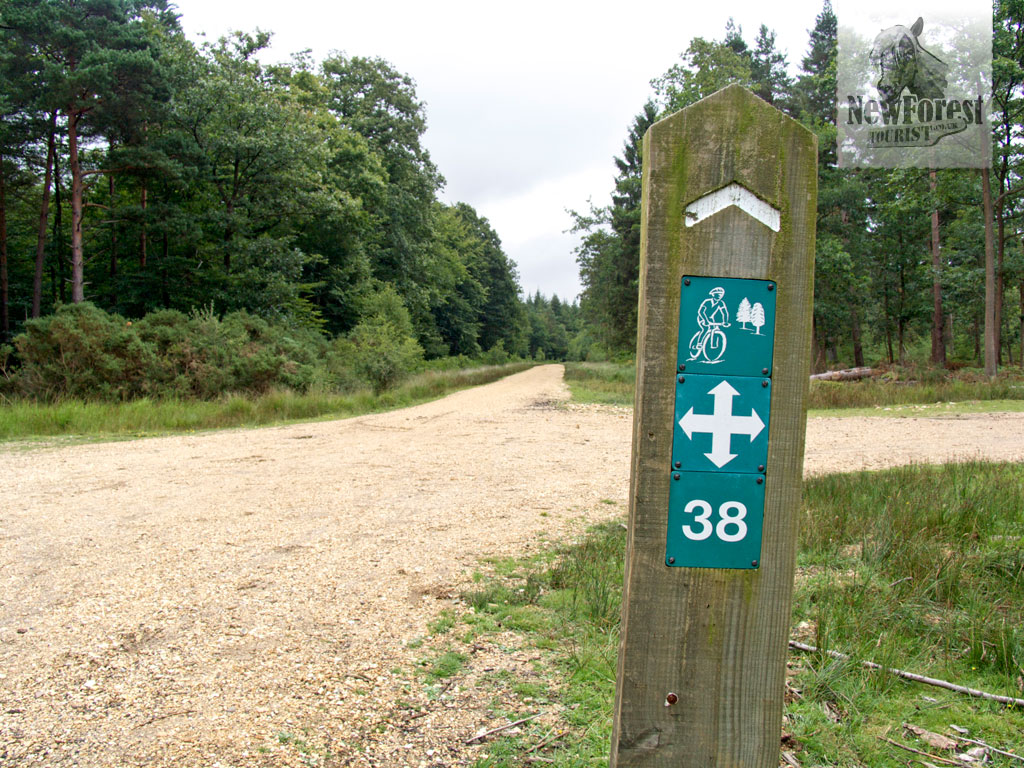 new forest cycle rides