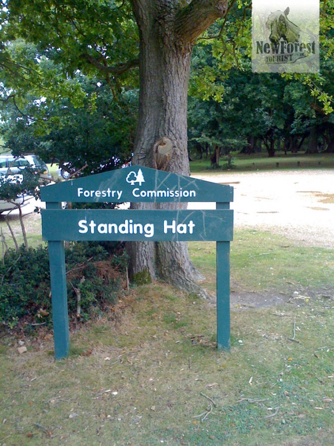 Bike Rides near Brockenhurst, Lyndhurst and Beaulieu New Forest Bike