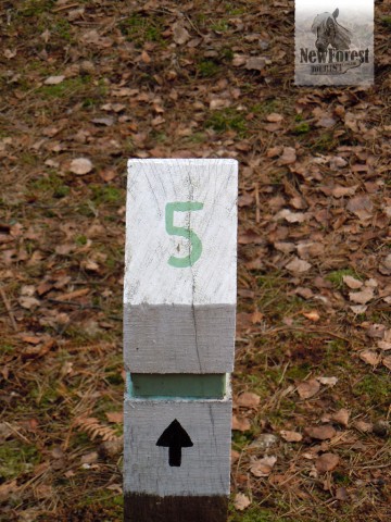 Signpost in Roydon Woods