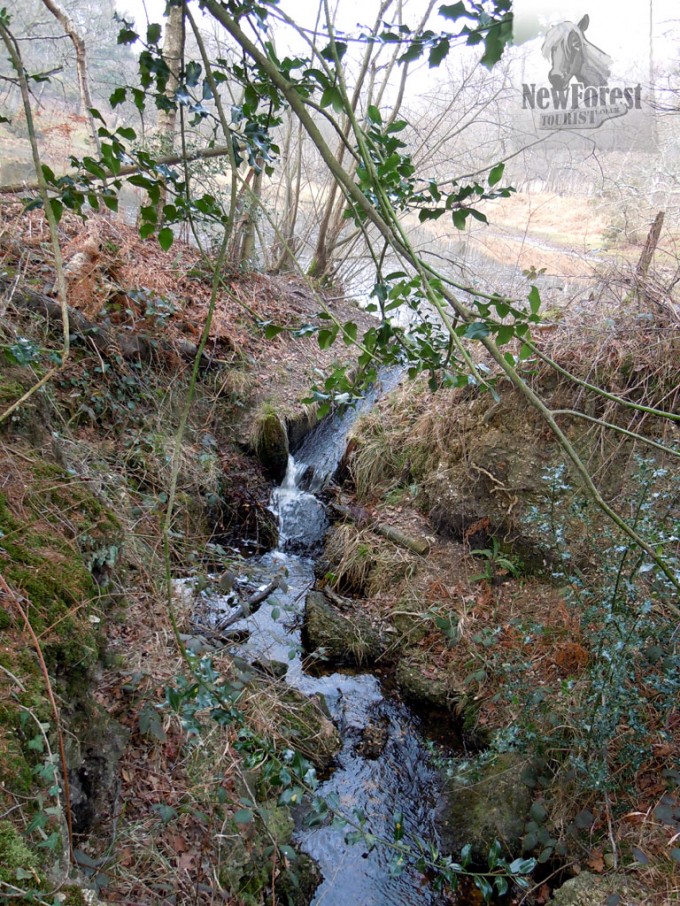 A stream in Roydon Woods