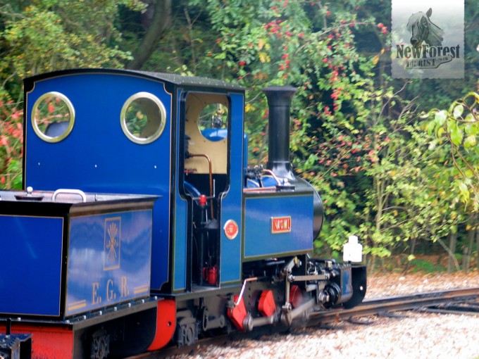 Exbury Steam Railway