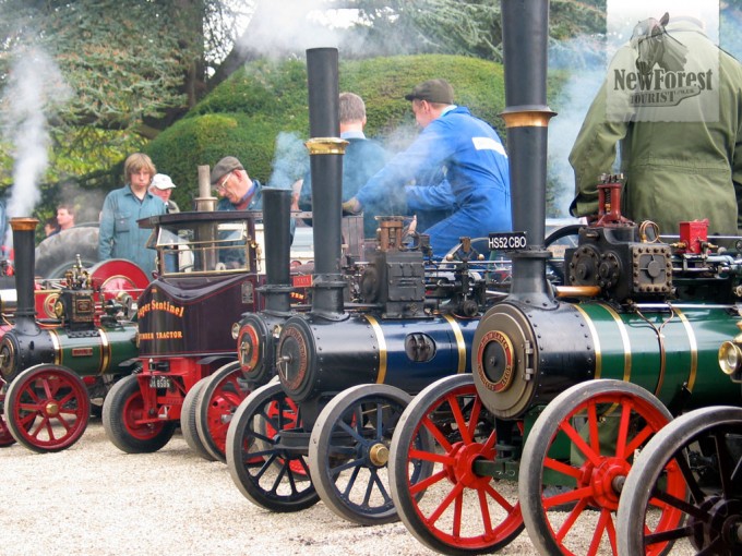 exbury-steam-rally-miniatures Miniature traction engines at Exbury