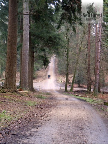 A steep descent and ascent