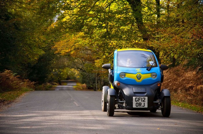 Electric Car, New Forest