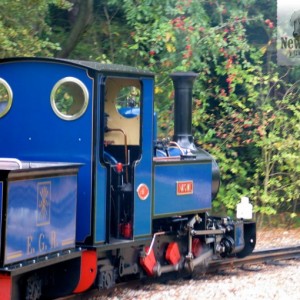 Exbury Steam Railway