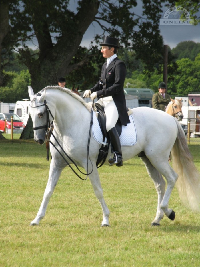 Dressage at the New Forest Show