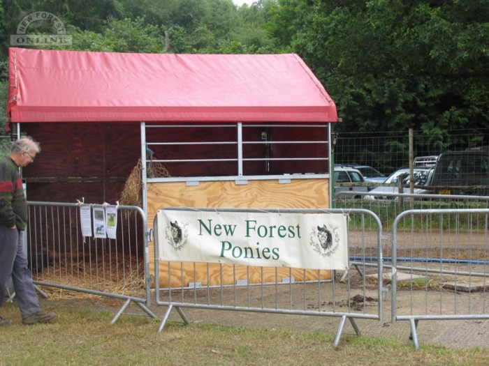 New Forest Ponies. Not.