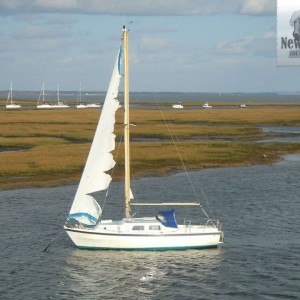 A shredded genoa