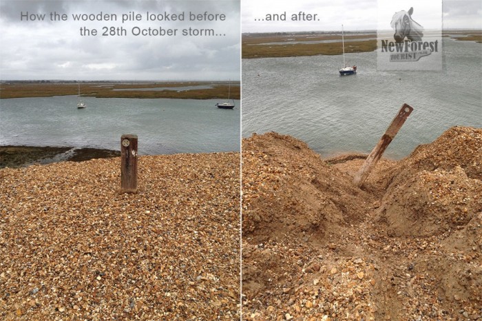 A wooden pile uncovered by the wind and water