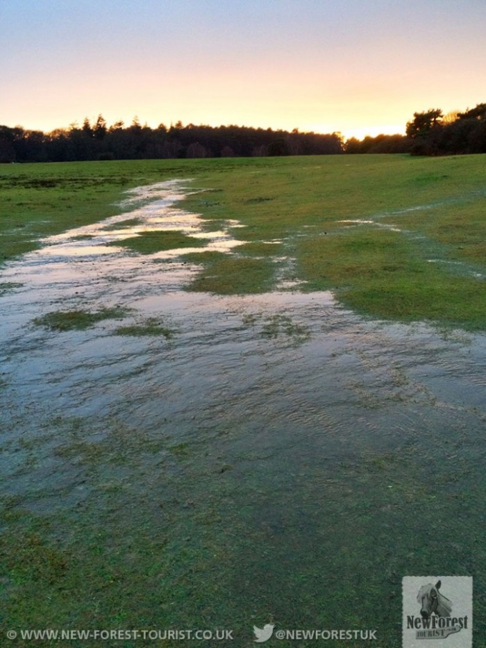 Sunset over Longslade Bottom