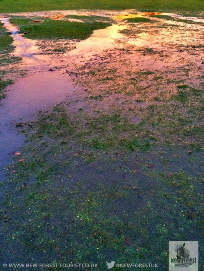 Sunset reflected over Longslade Bottom