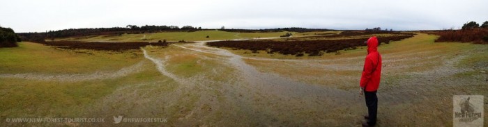 Waterlogged Longslade Heath