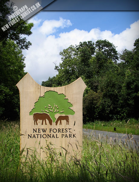 A35, Lyndhurst Road