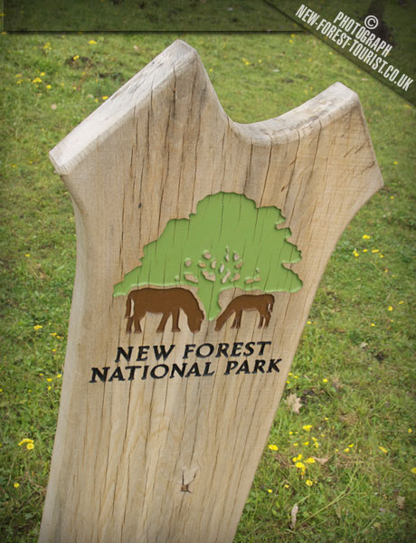 North Gorley