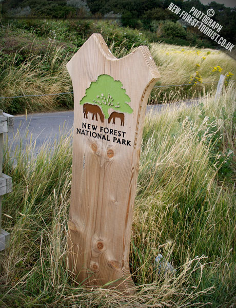 Saltgrass Lane