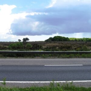 Looking across A31 - geograph.org.uk - 4486891.jpg