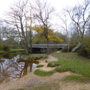 Brockenhurst Bridge - geograph.org.uk - 3224951.jpg