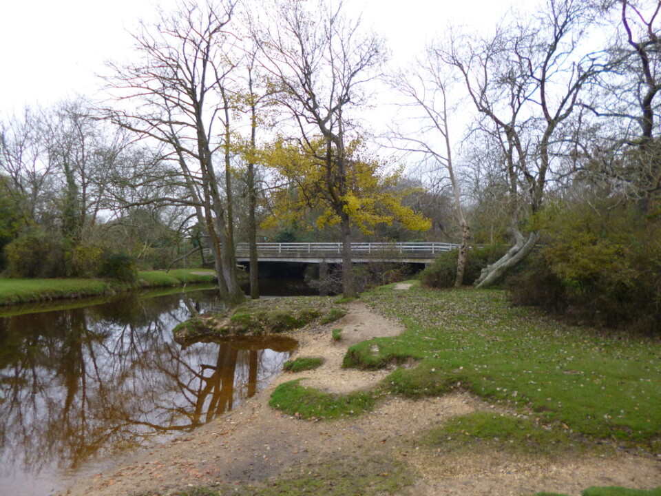 Brockenhurst Bridge - geograph.org.uk - 3224951.jpg